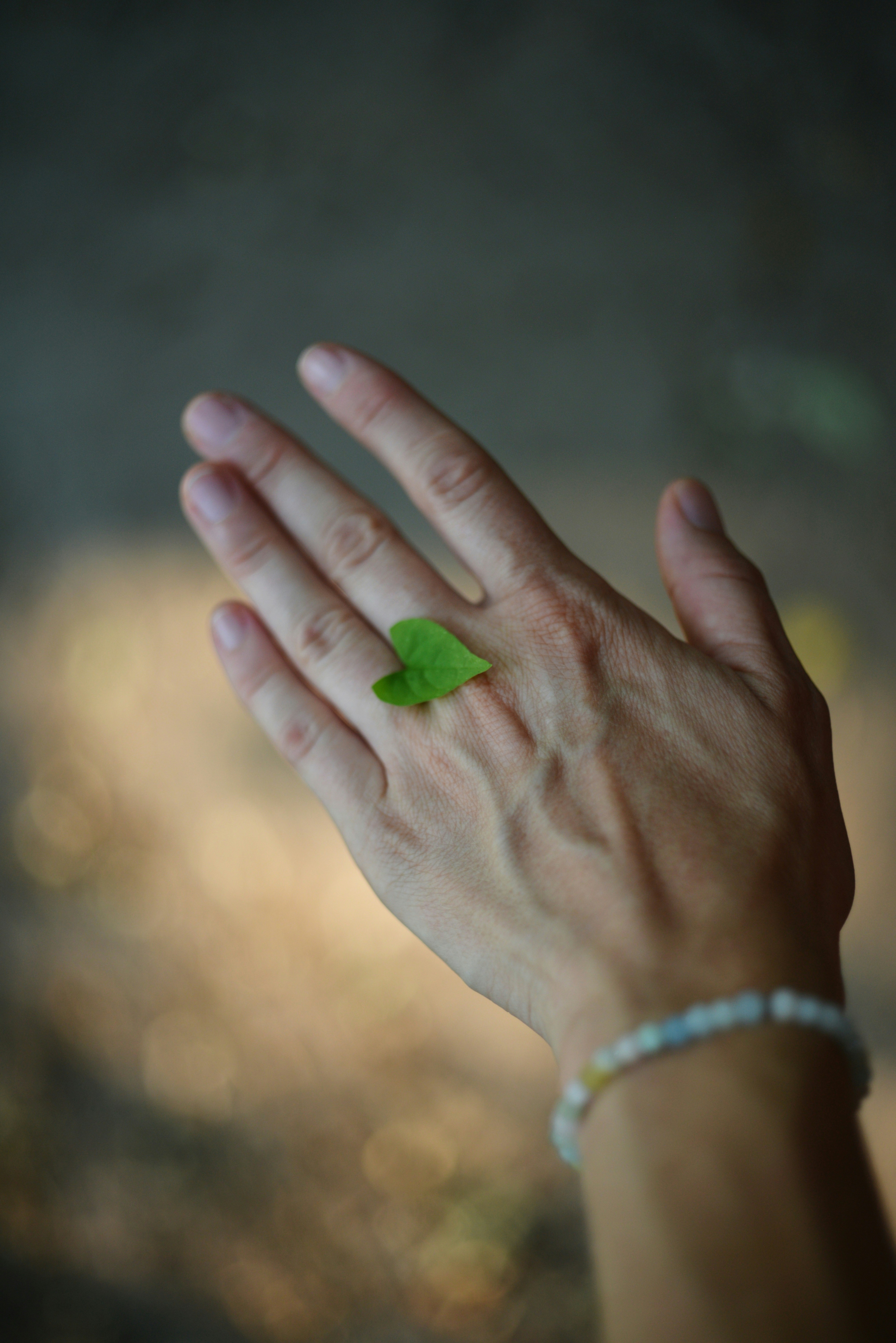 Somatic & Mindfulness-Informed